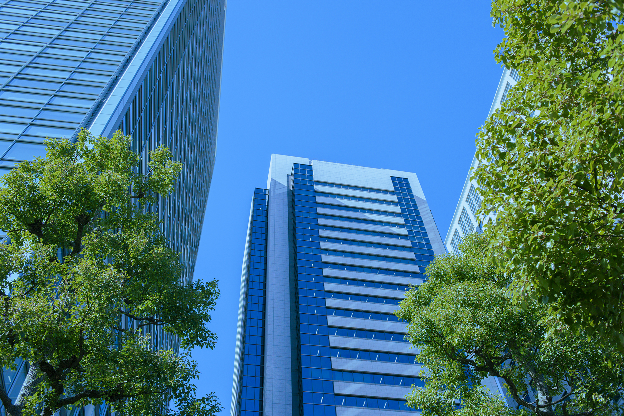 株式会社シー・エス・ピー